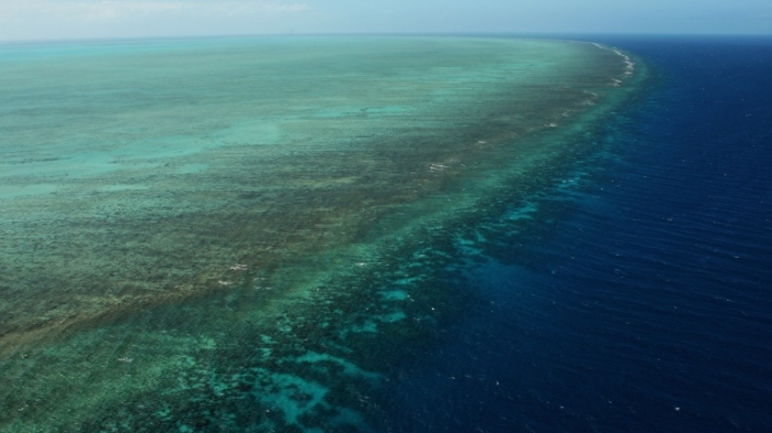 ООН включва Големия бариерен риф в списъка със застрашеното световно наследство